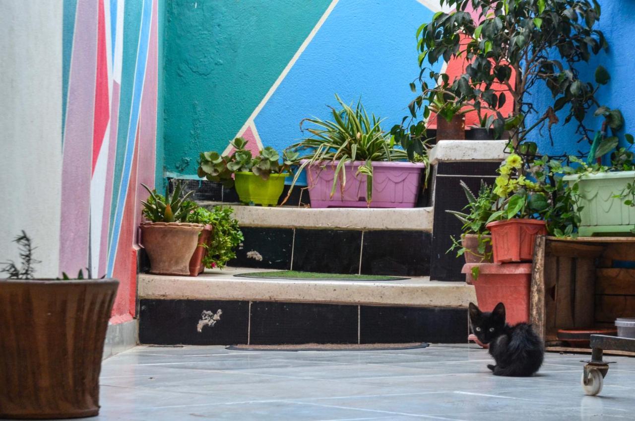 Tayought Surf Hostel Taghazout Exterior photo